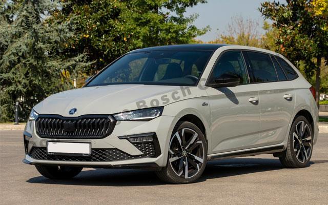 Periyodik Skoda Bakımı Neden Önemlidir?